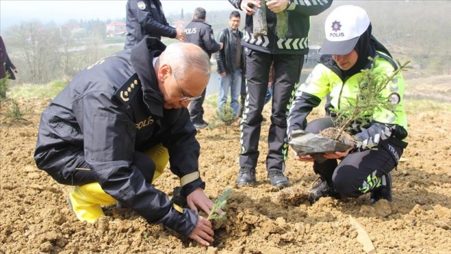 Fidanlar şehitler anısına toprakla buluştu