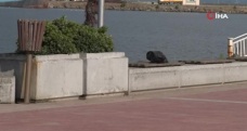 Alışveriş poşetini unutup gezince polisi alarma geçirdiler