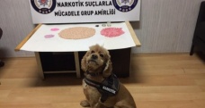 Balıkesir polisinden büyük uyuşturucu operasyonuı