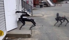 Boston Dynamics'in robotları polis köpeği oldu