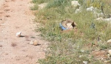 Malatya'da akraba kavgası: 1'i polis 2 kişi hayatını kaybetti